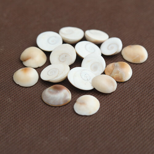 Gomti Chakra (10pc)
