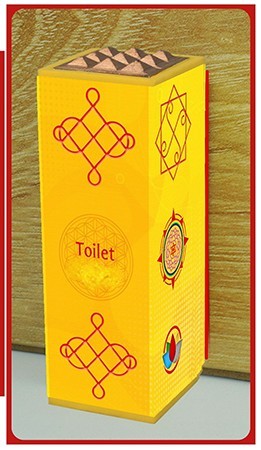 Toilet Remedy
